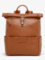 Sac � Dos Business Flandres 1 Compartiment Cuir Etrier Marron flandres EFLA8102